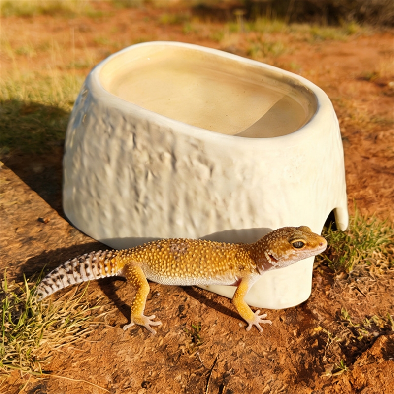 Hide Cave Ceramic - Ceramic Leopard Print Humid Hide Cave