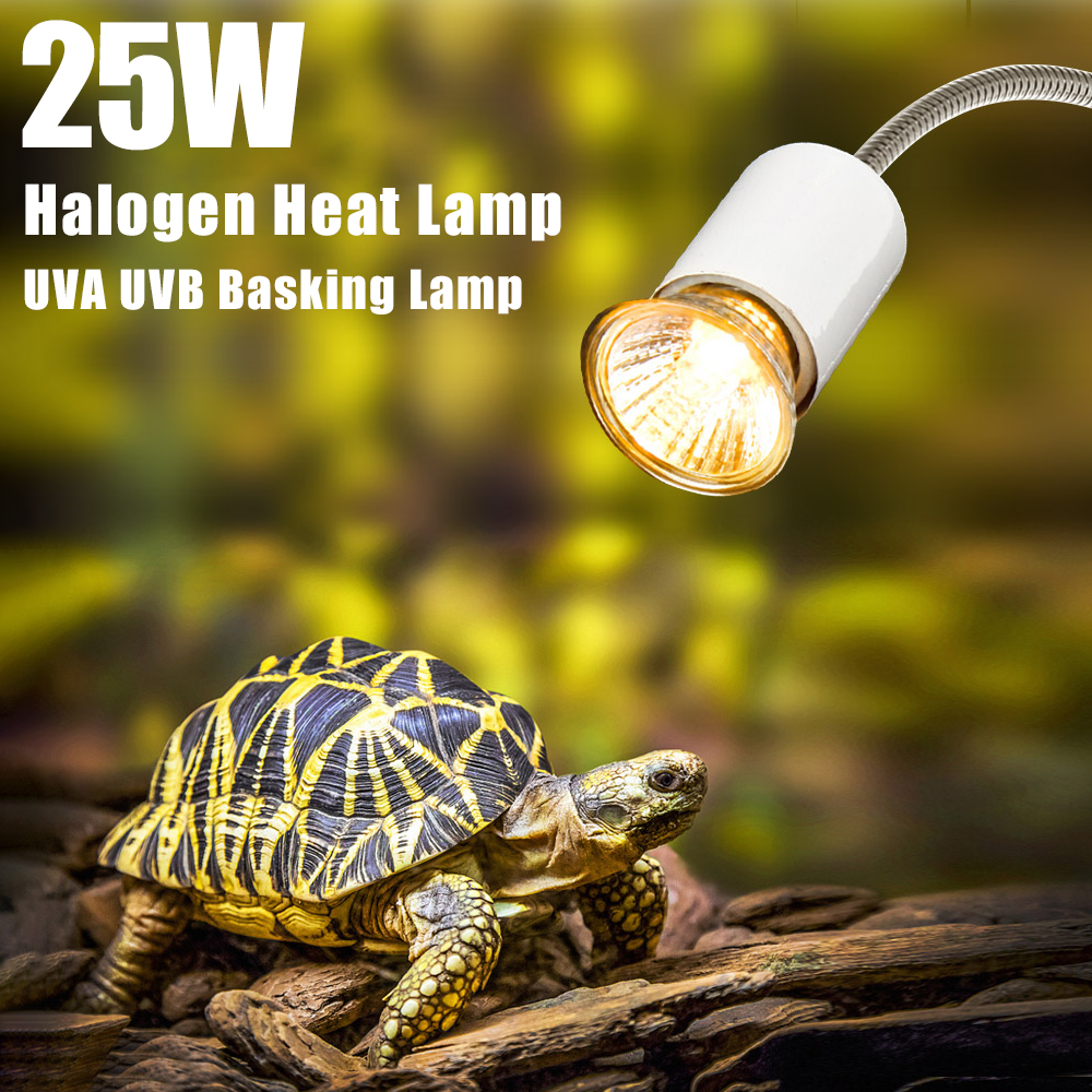 Basking Bulb Halogen - 25W Halogen Heat Lamp UVA UVB