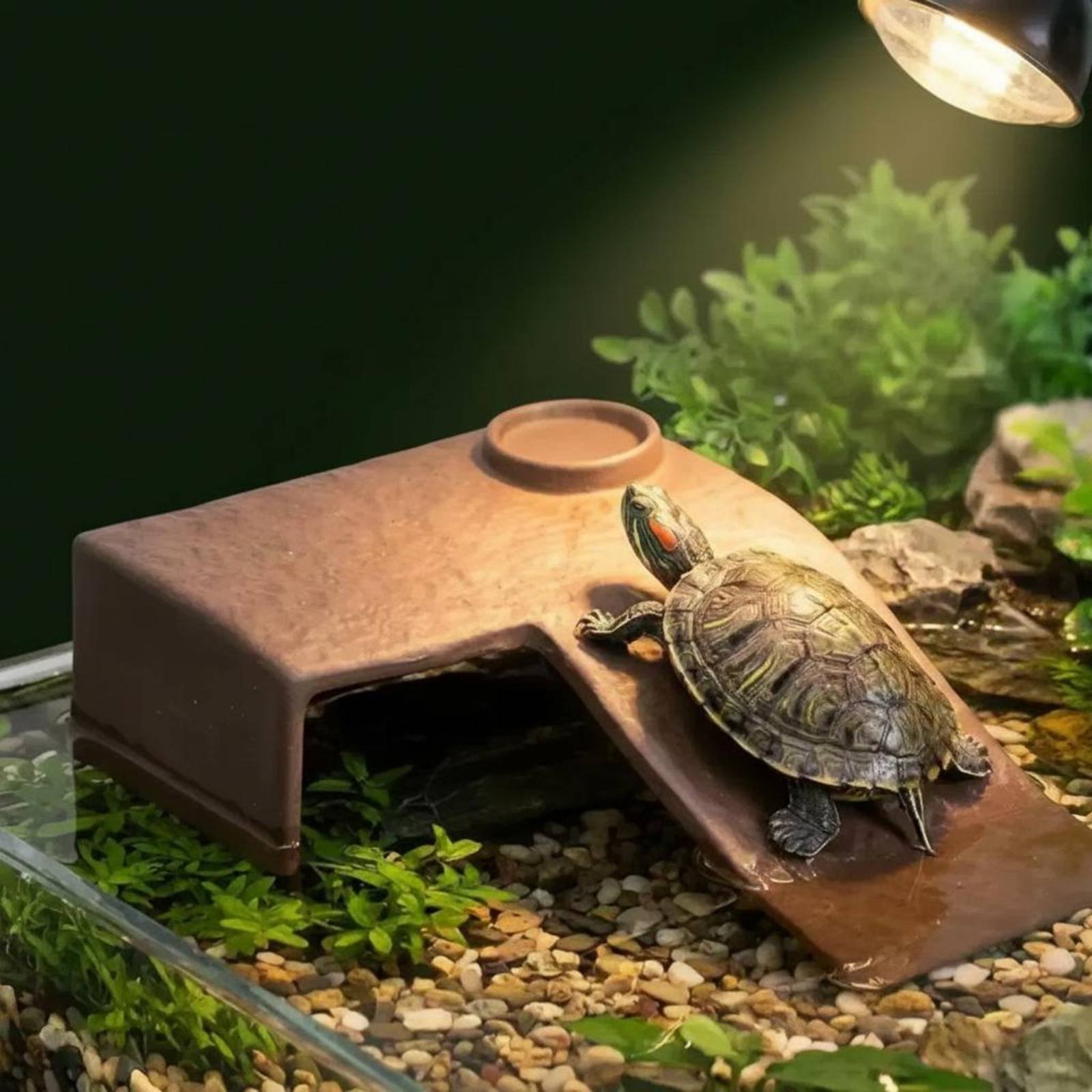 2 Pieces Turtle Basking Dock E - Hide Cave Ceramic recension och pris