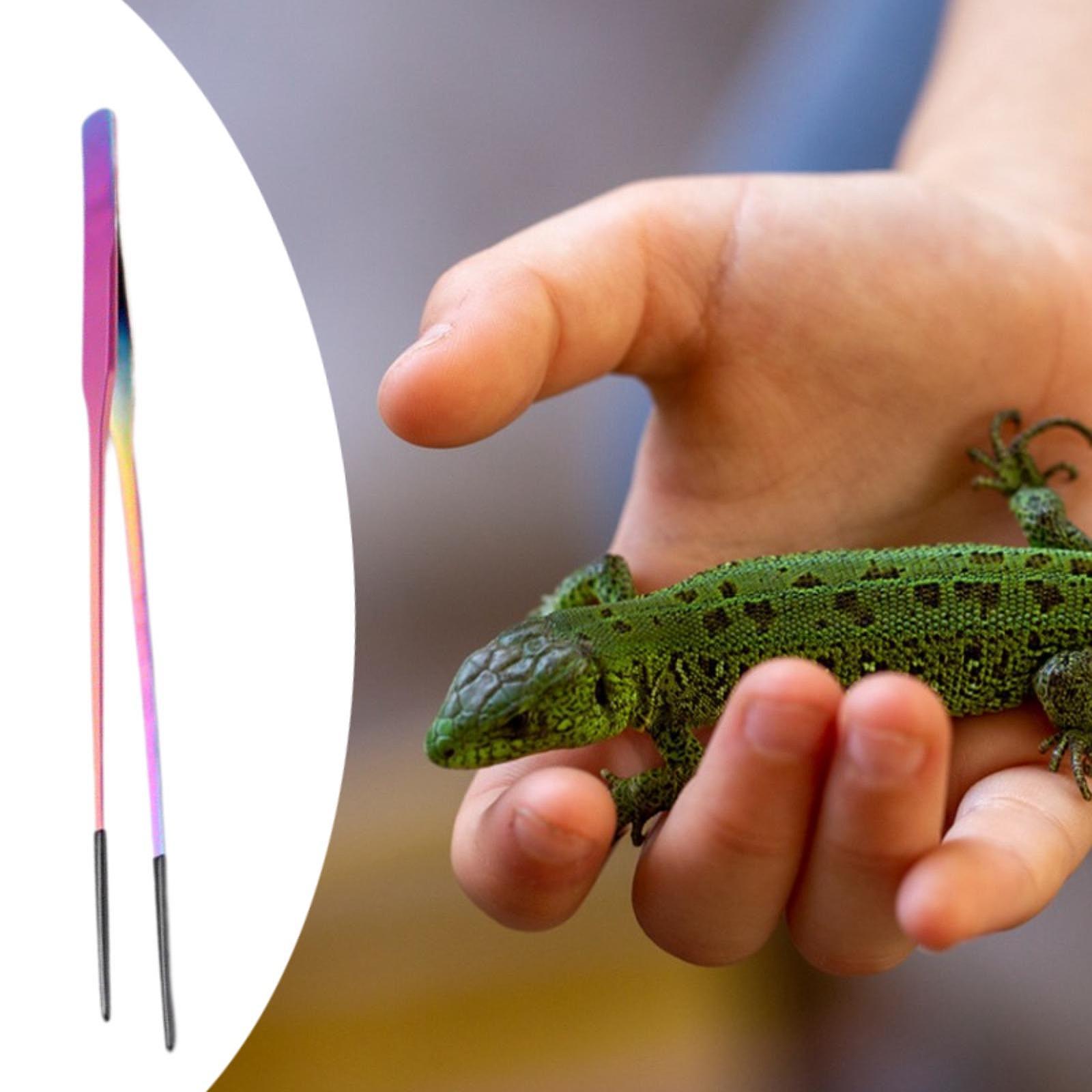 Terrarium Reptile Feeder Tongs - Feeding Tong Stainless recension och pris