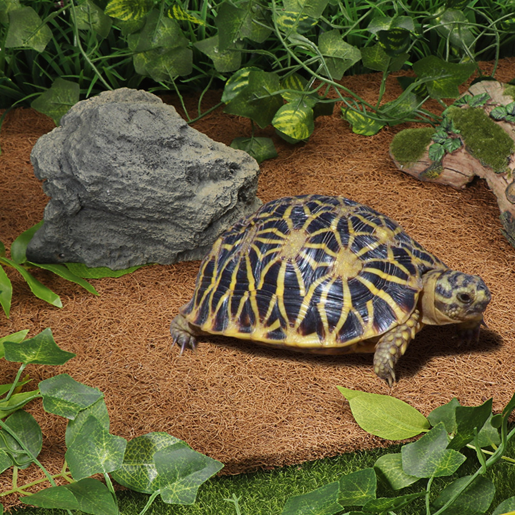 Coconut Fiber Reptile Mat Non- - Substrate Coconut Fiber recension och pris