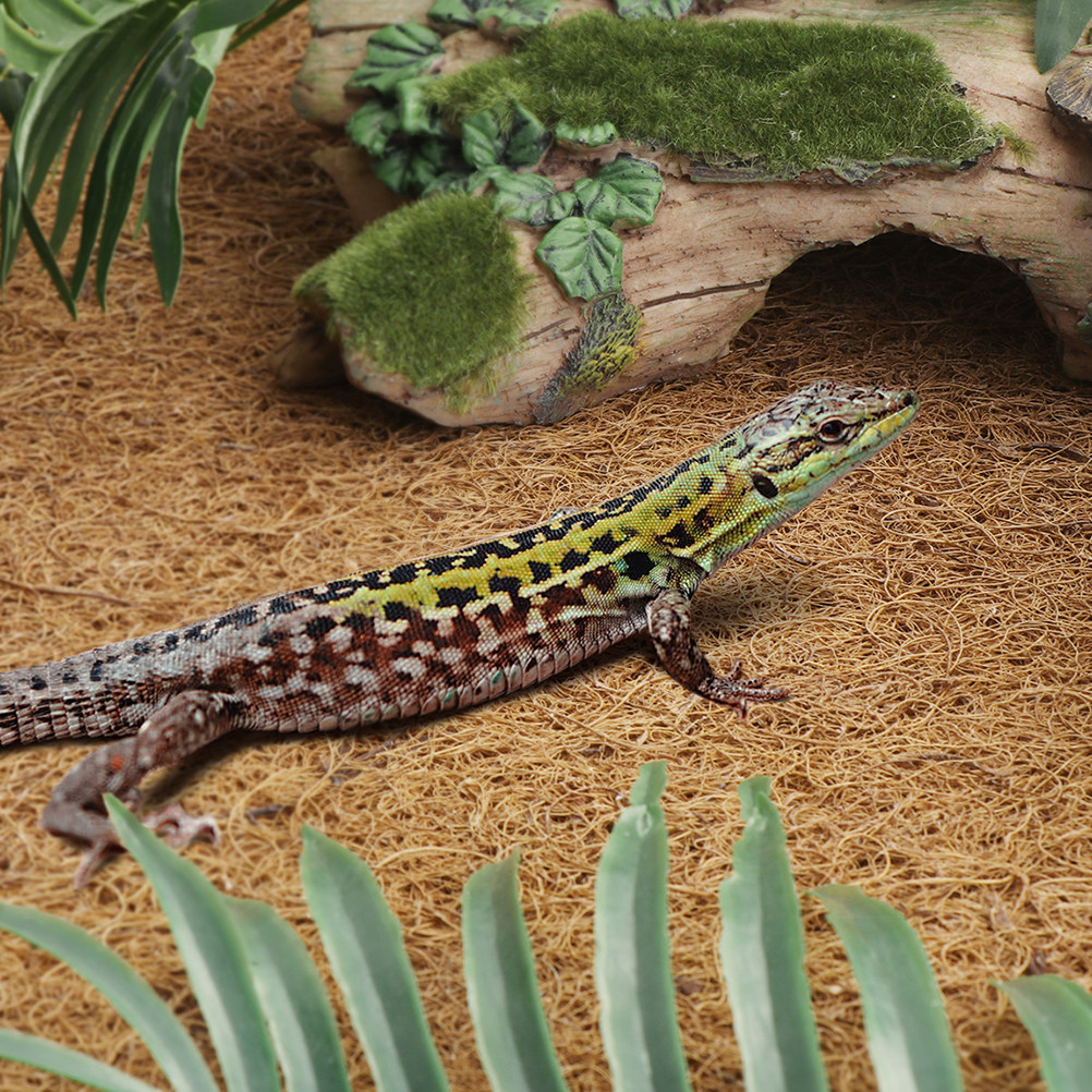 Coconut Fiber Reptile Mat Non- - Substrate Coconut Fiber recension och pris