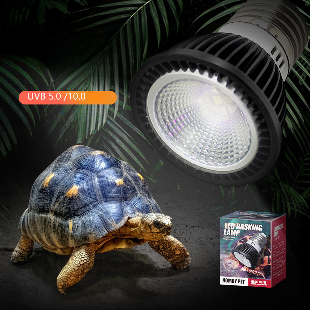 Reptile 110/220V UVB+UVA Light - Calcium Powder Reptile recension och pris