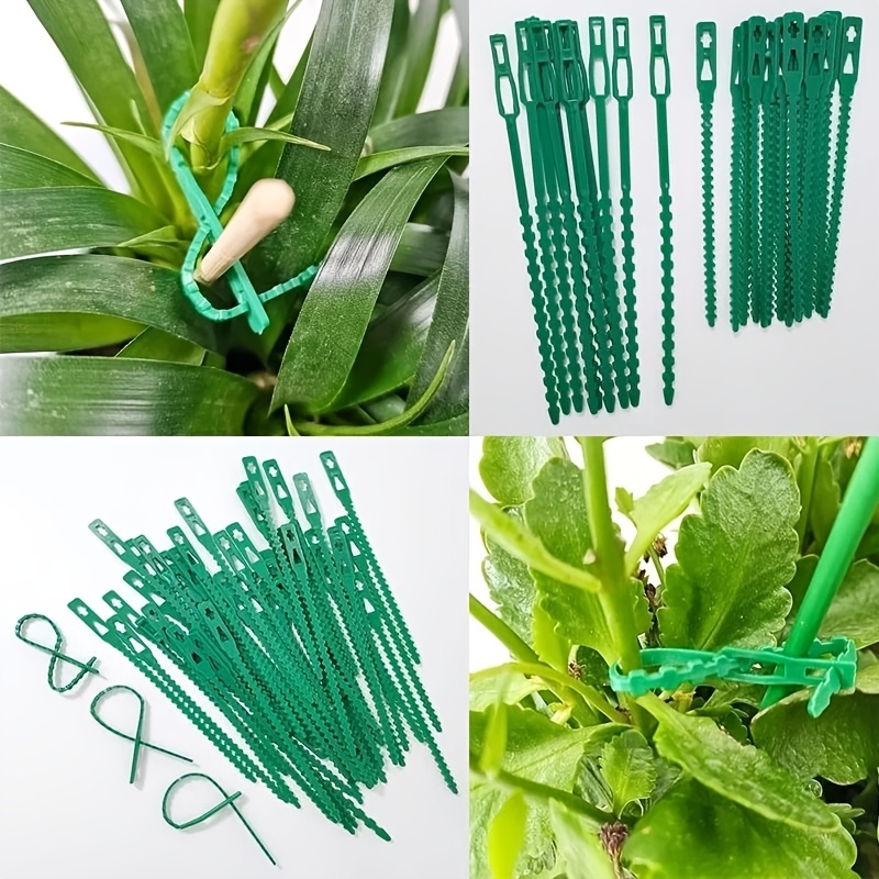 100PCS reusable adjustable pla - Vine Climbing Plastic recension och pris