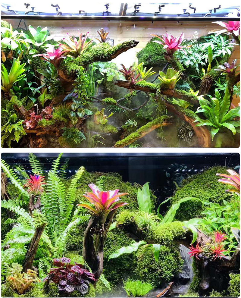 MINI Adjustable Reptile Fogger - Misting Nozzle Reptile recension och pris