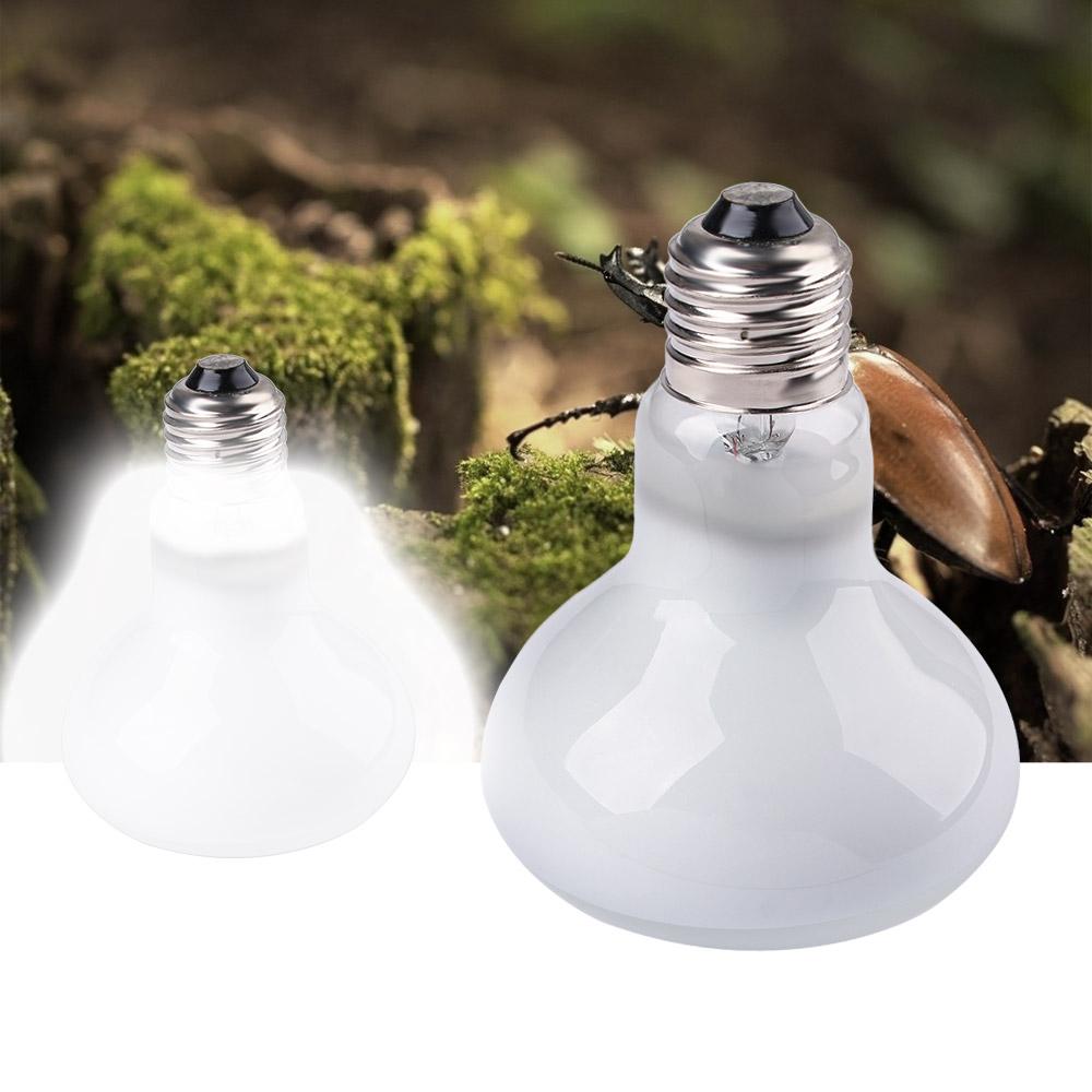 Amphibians Heater Temperature  - Basking Bulb Halogen recension och pris