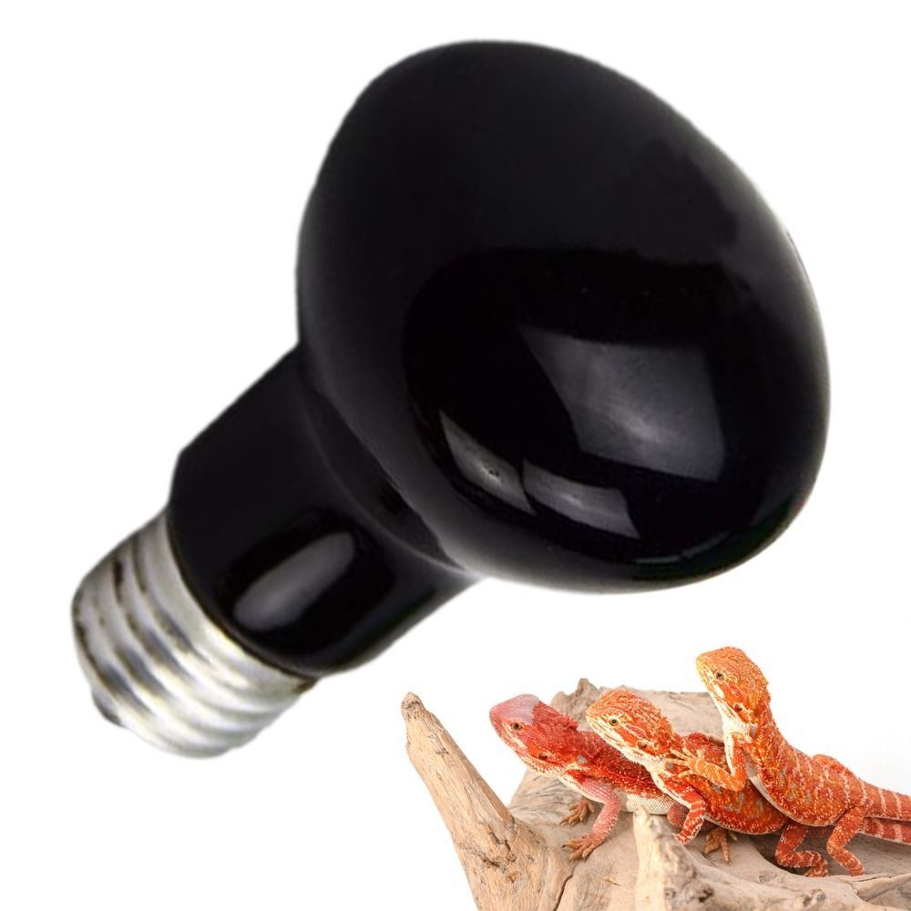 Infrared Led Pet Heating Lamp  - Ceramic Heat Emitter recension och pris