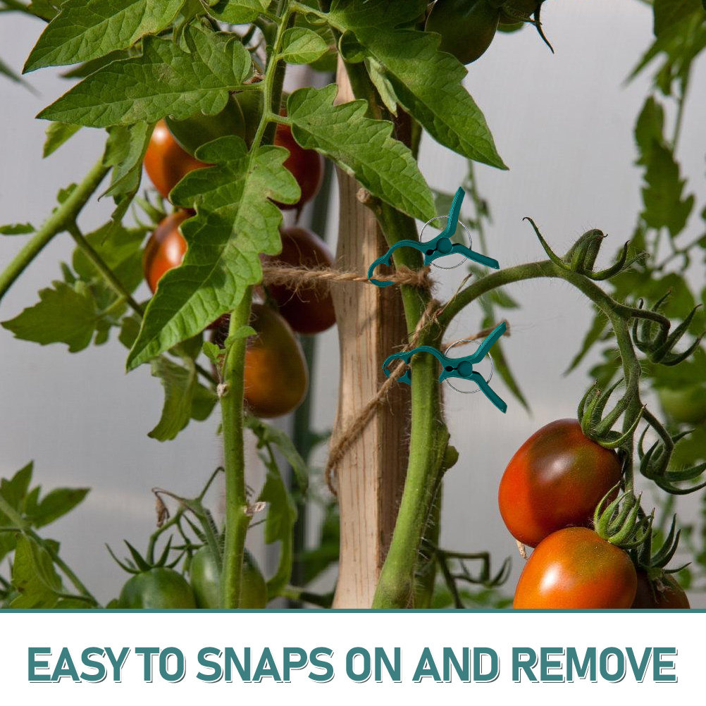 50Pcs Tomato Stem Support Clip - Vine Climbing Plastic recension och pris
