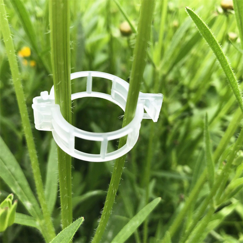 100pcs Clear Plastic Plant Cli - Vine Climbing Plastic recension och pris