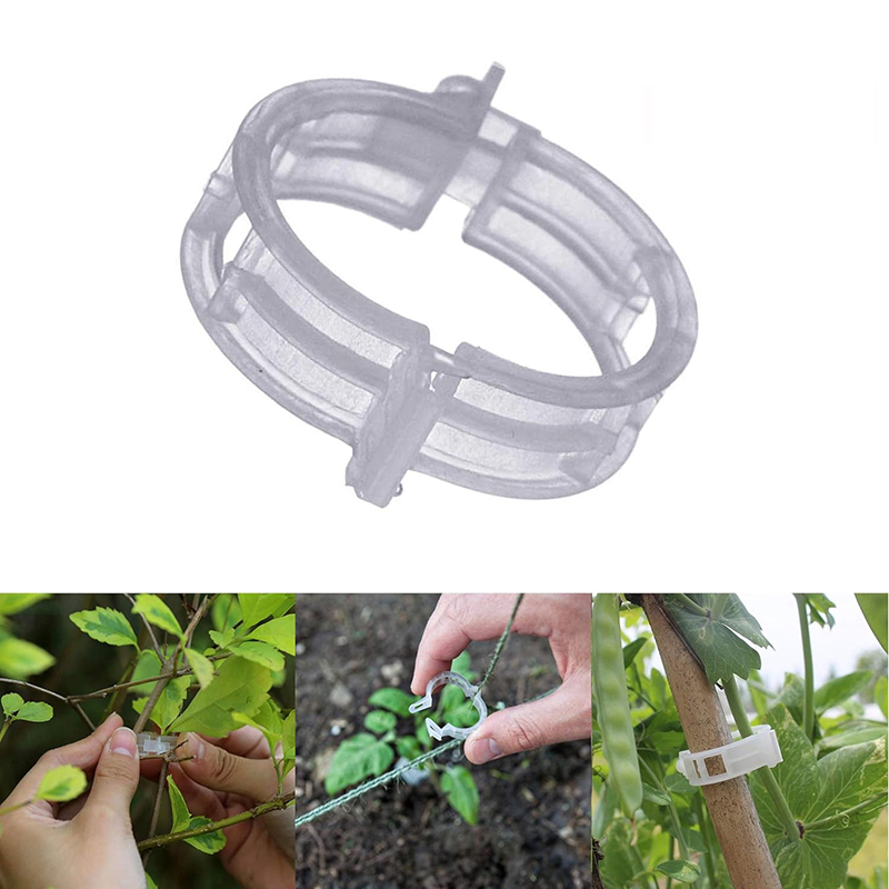 100pcs Clear Plastic Plant Cli - Vine Climbing Plastic recension och pris