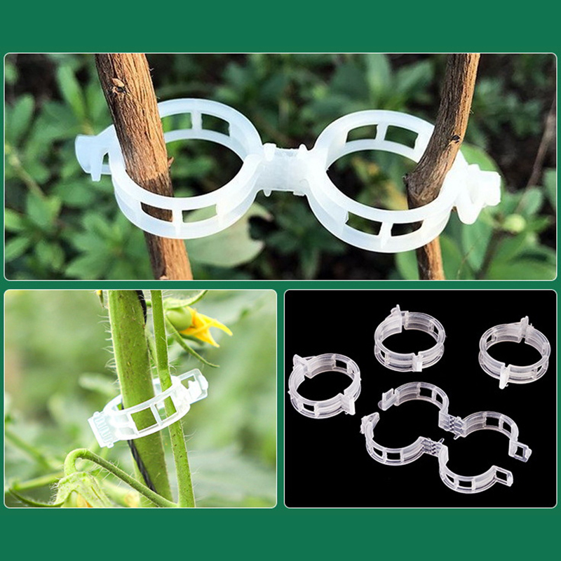 100pcs Clear Plastic Plant Cli - Vine Climbing Plastic recension och pris
