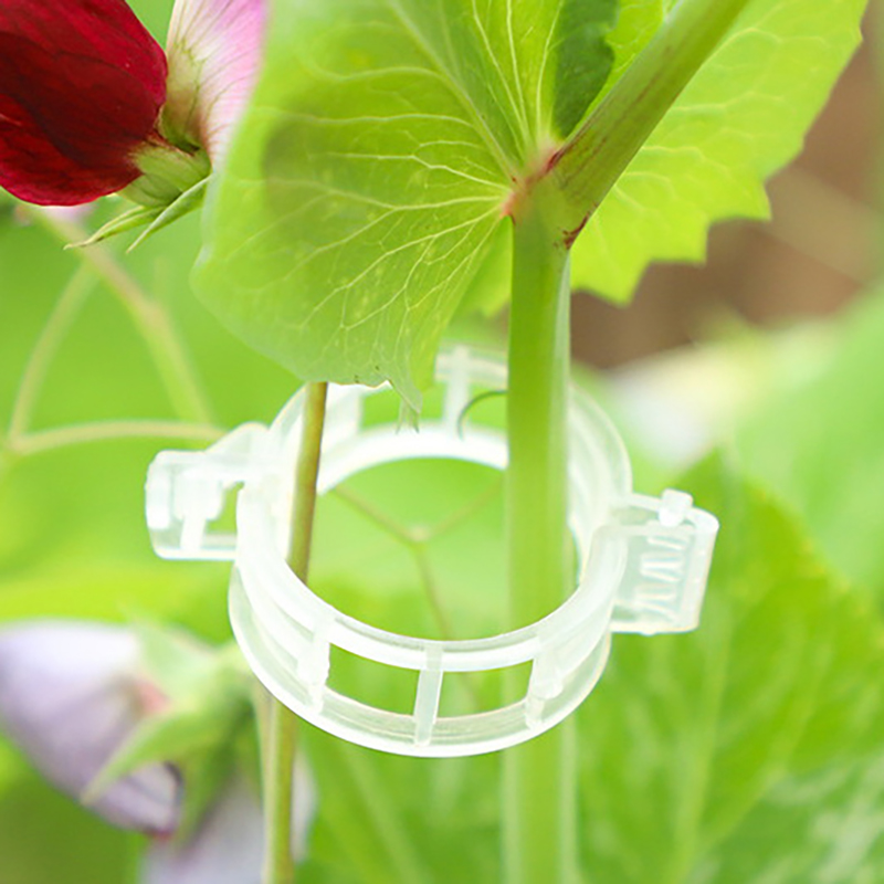 100pcs Clear Plastic Plant Cli - Vine Climbing Plastic recension och pris