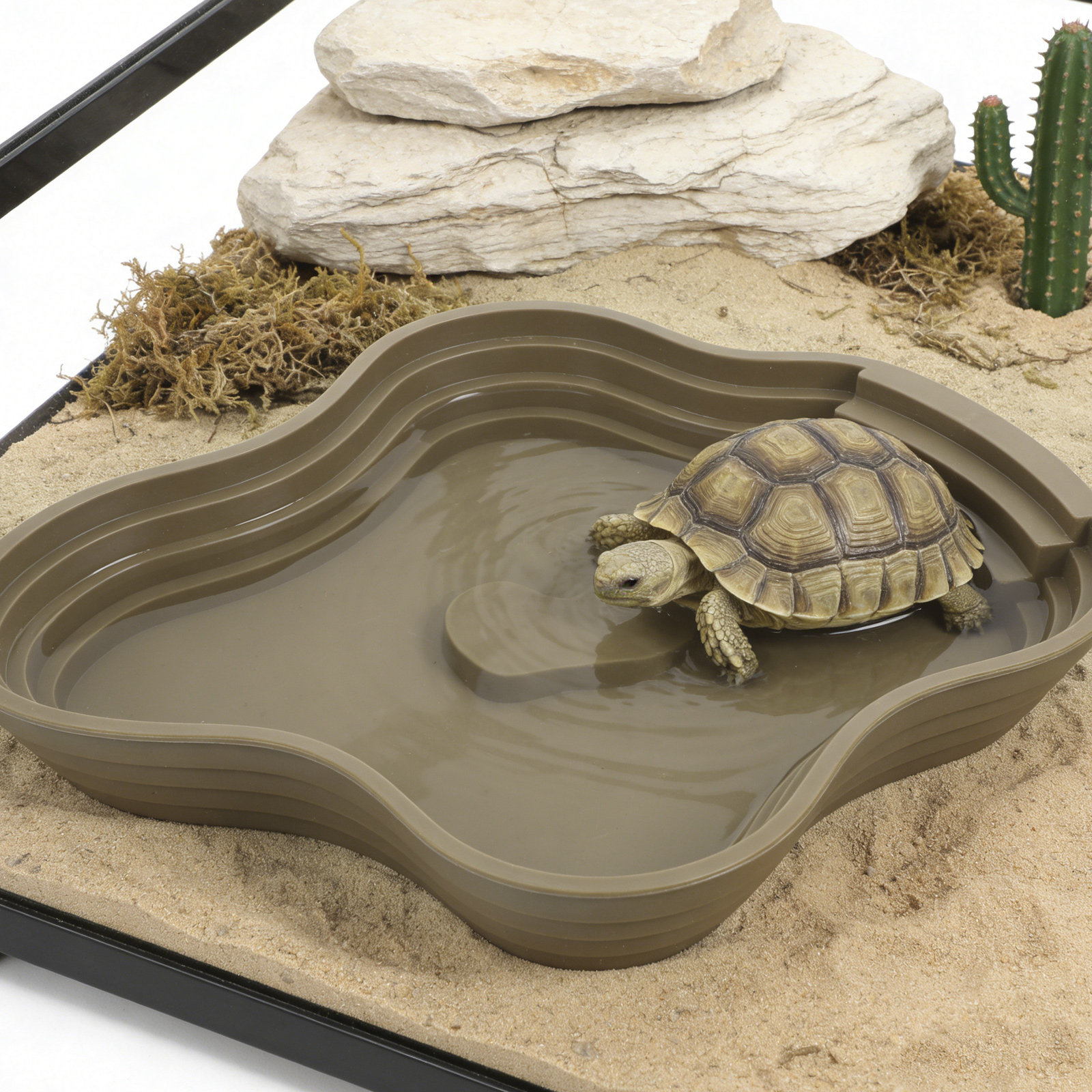 Large Turtle Reptile Bathing P - Water Dish Reptile recension och pris
