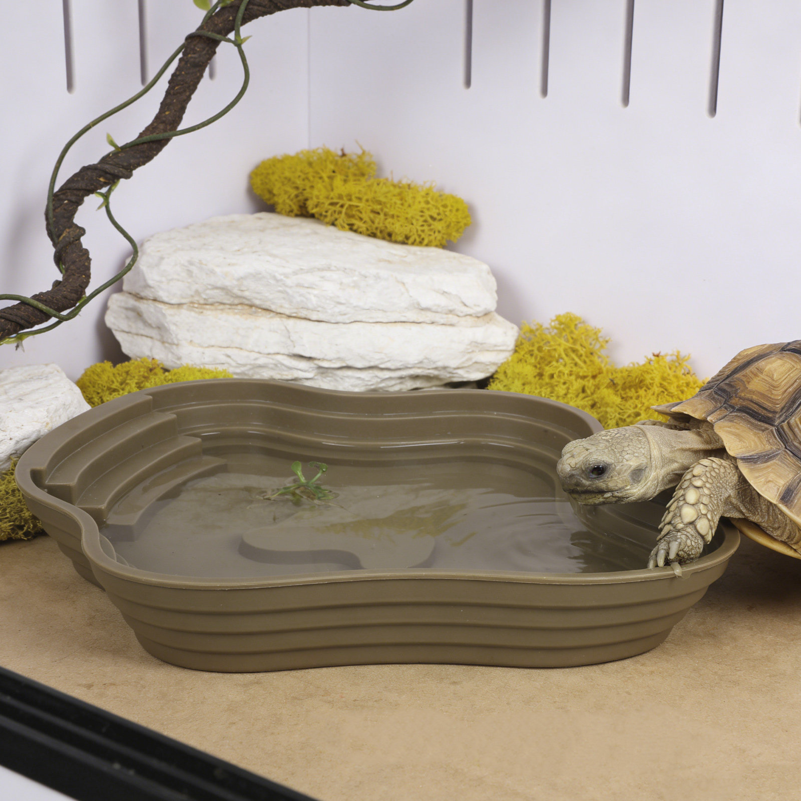 Large Turtle Reptile Bathing P - Water Dish Reptile recension och pris