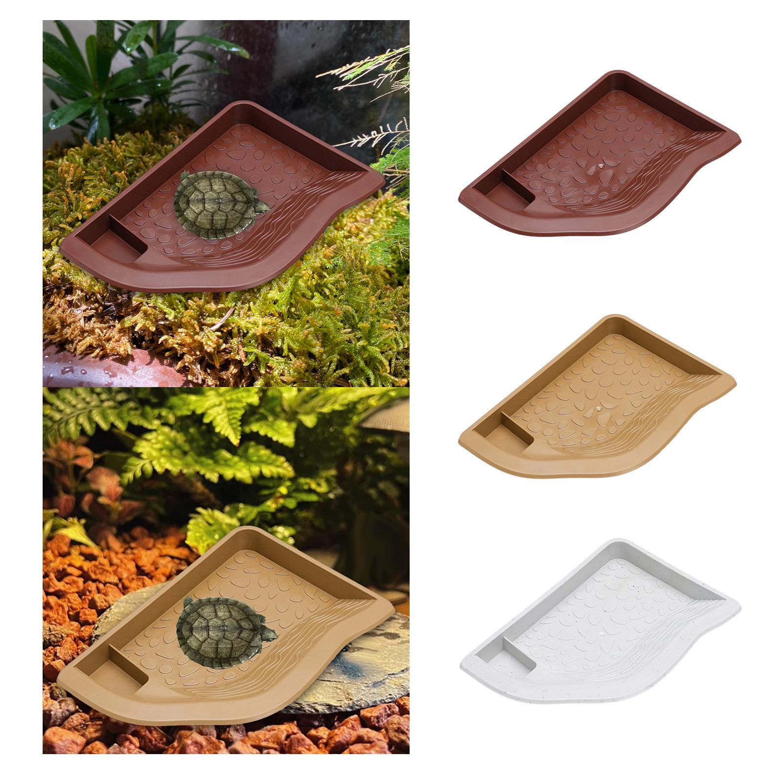 Reptile Pool Water Dish, Torto - Water Dish Reptile recension och pris