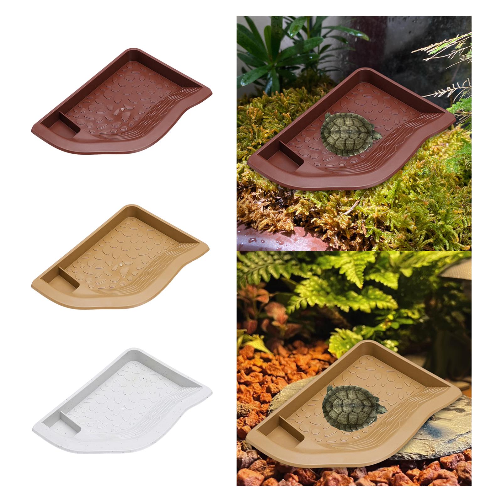 Reptile Pool Water Dish, Torto - Water Dish Reptile recension och pris