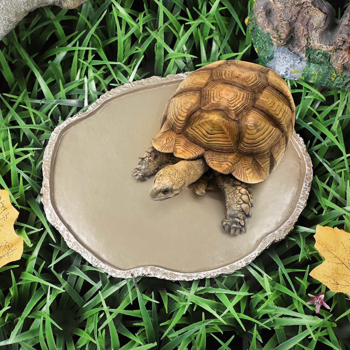 Pets Feeding Plate Reptile Fee - Water Dish Reptile recension och pris