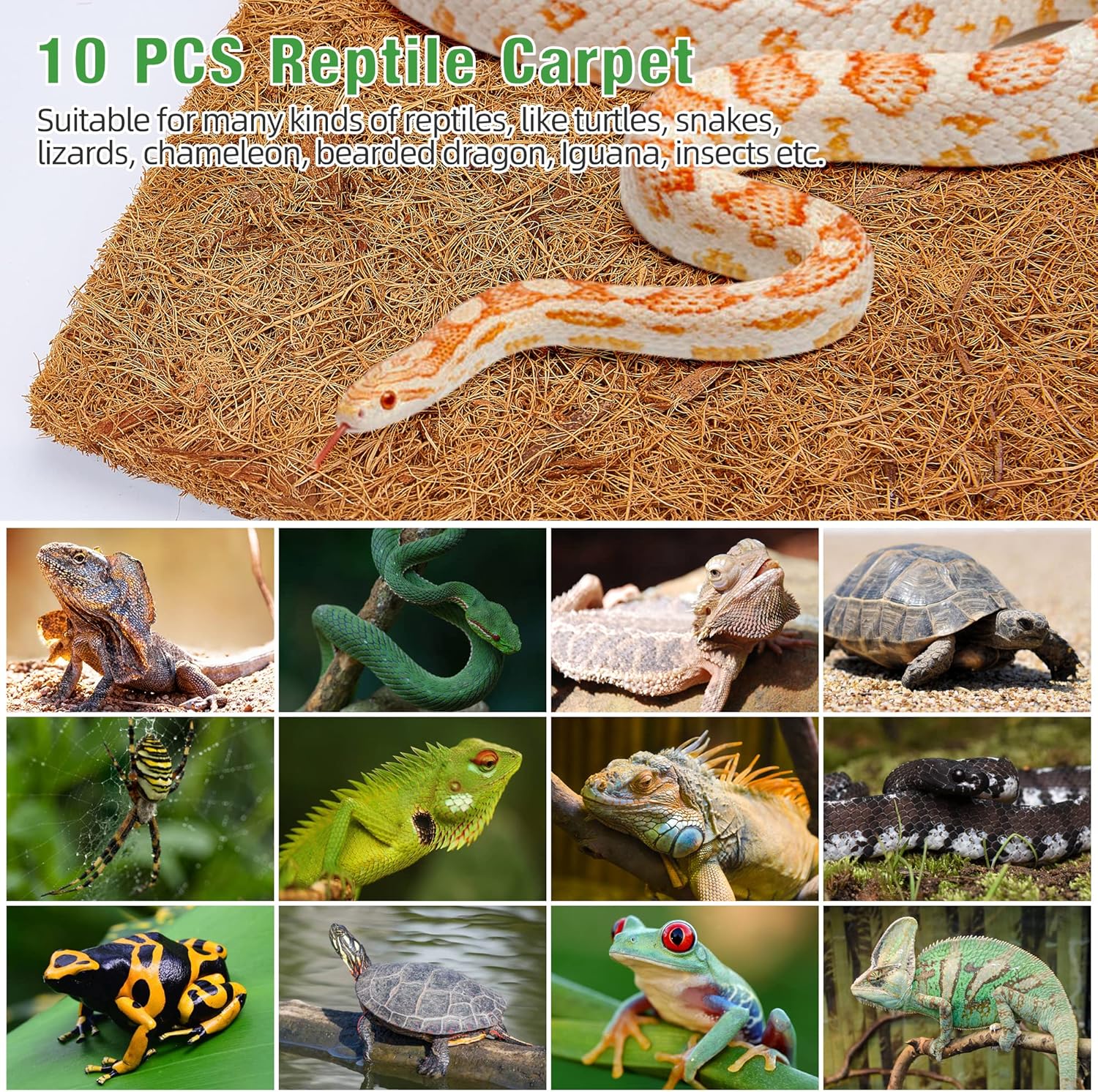 10 Pcs Reptile Carpet, 12x12 i - Substrate Coconut Fiber recension och pris