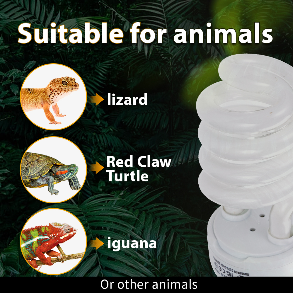 26W Pet Box Lamp Calcium Suppl - Calcium Powder Reptile recension och pris