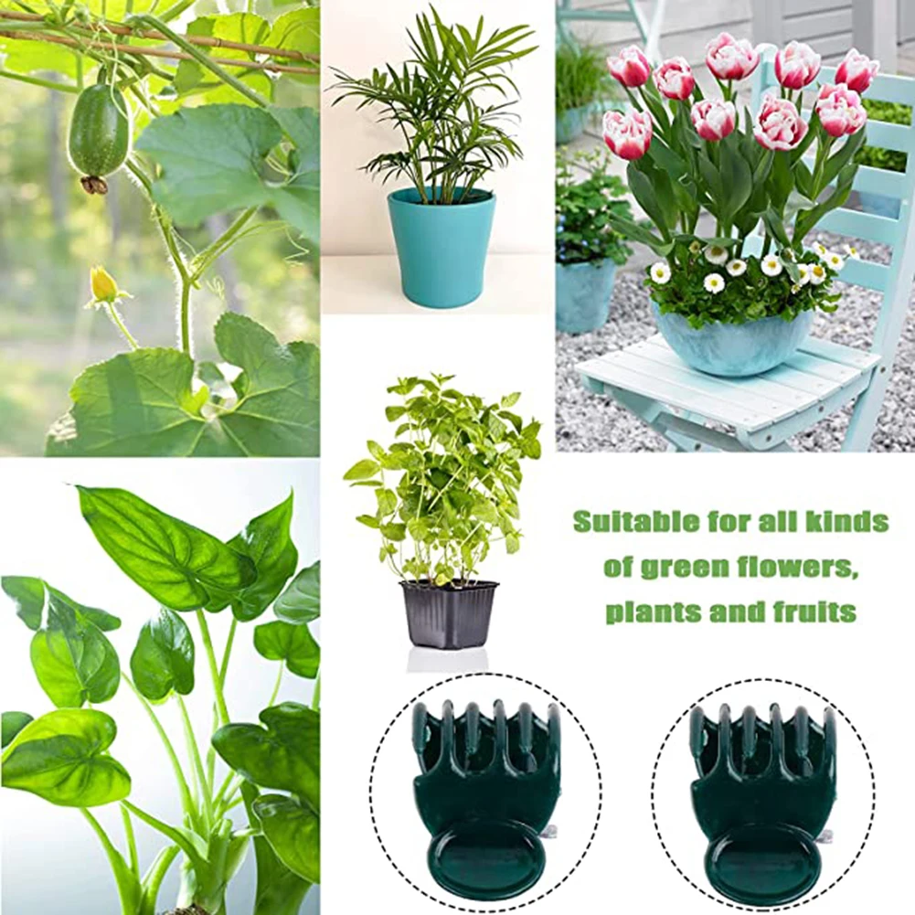 Phalaenopsis Orchid Support Cl - Vine Climbing Plastic recension och pris