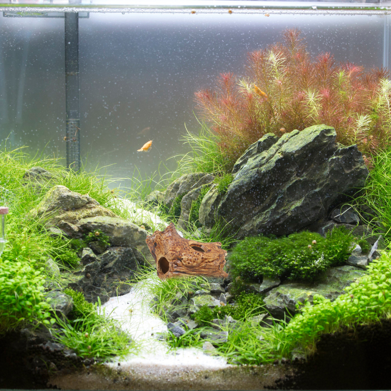 Premium Ceramic Aquarium Hides - Hide Cave Ceramic recension och pris