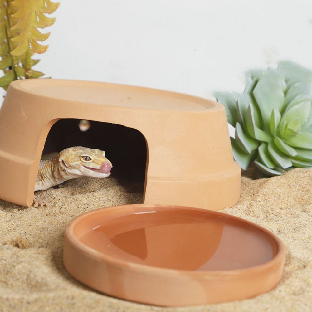 Multifunctional Ceramics Repti - Hide Cave Ceramic recension och pris