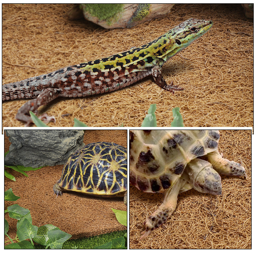 Reptile Carpet Natural Coconut - Substrate Coconut Fiber recension och pris