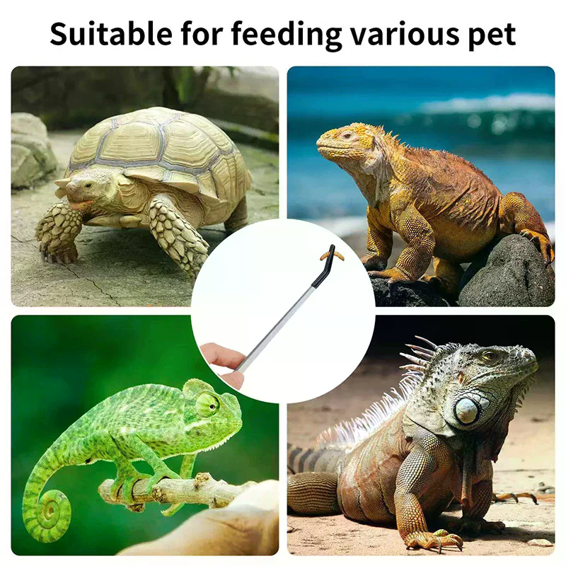 Straight and Curved Aquarium T - Feeding Tong Stainless recension och pris