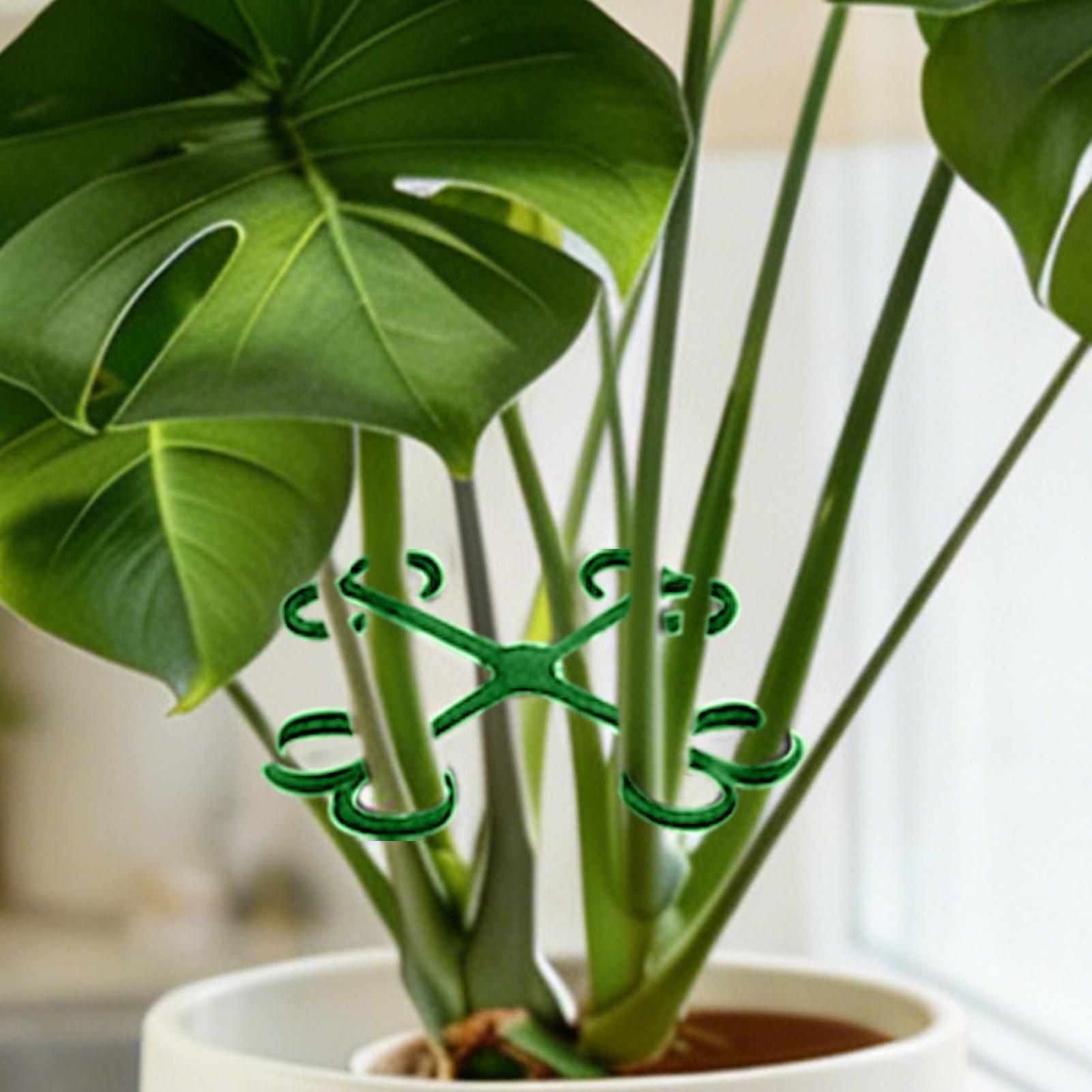 4Pcs Plant Stem Support Clips  - Vine Climbing Plastic recension och pris