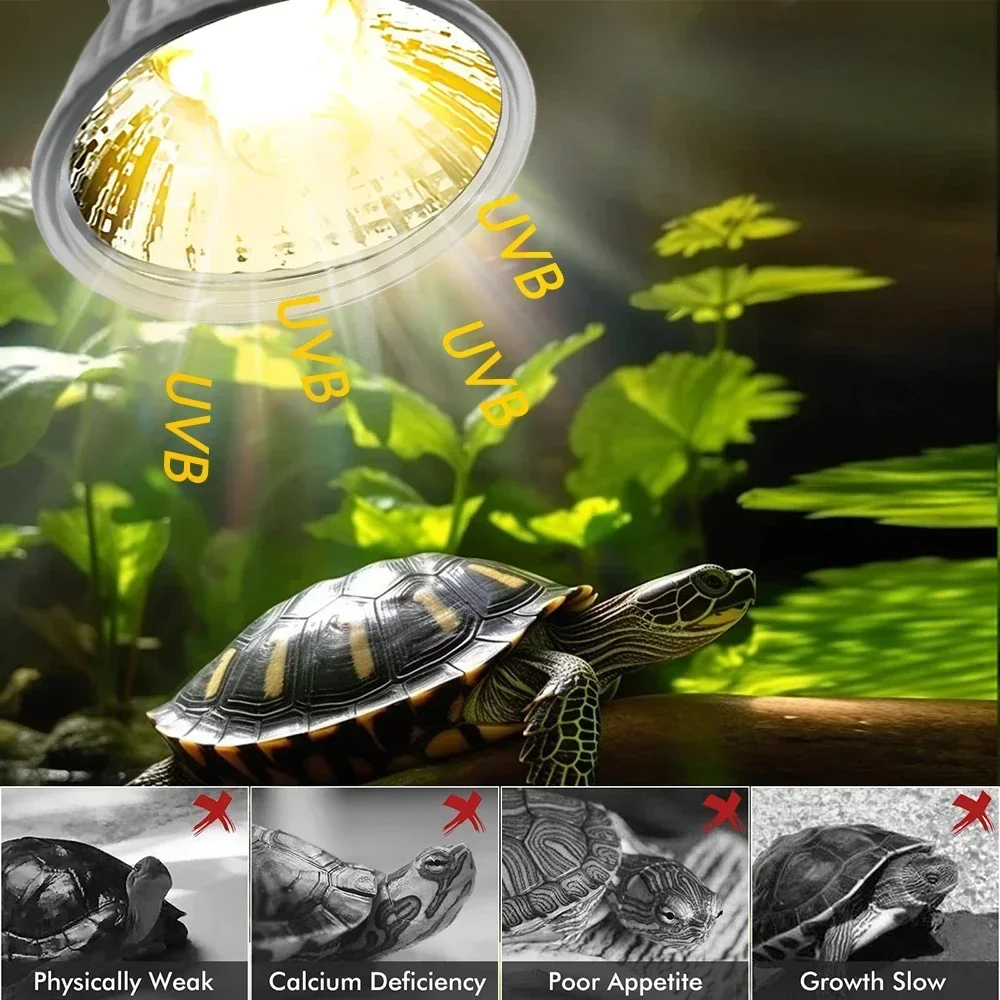 75/50/25W Tortoise Lizard Bask - Calcium Powder Reptile recension och pris