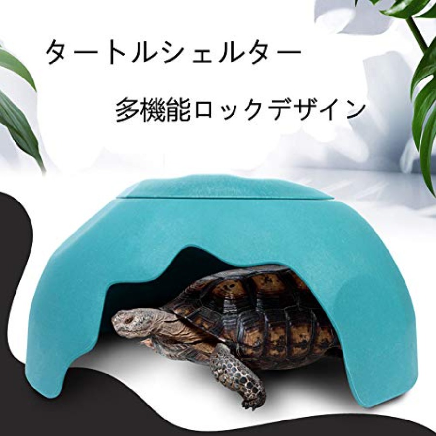 【Spot goods】Reptiles House wit - Hide Cave Ceramic recension och pris