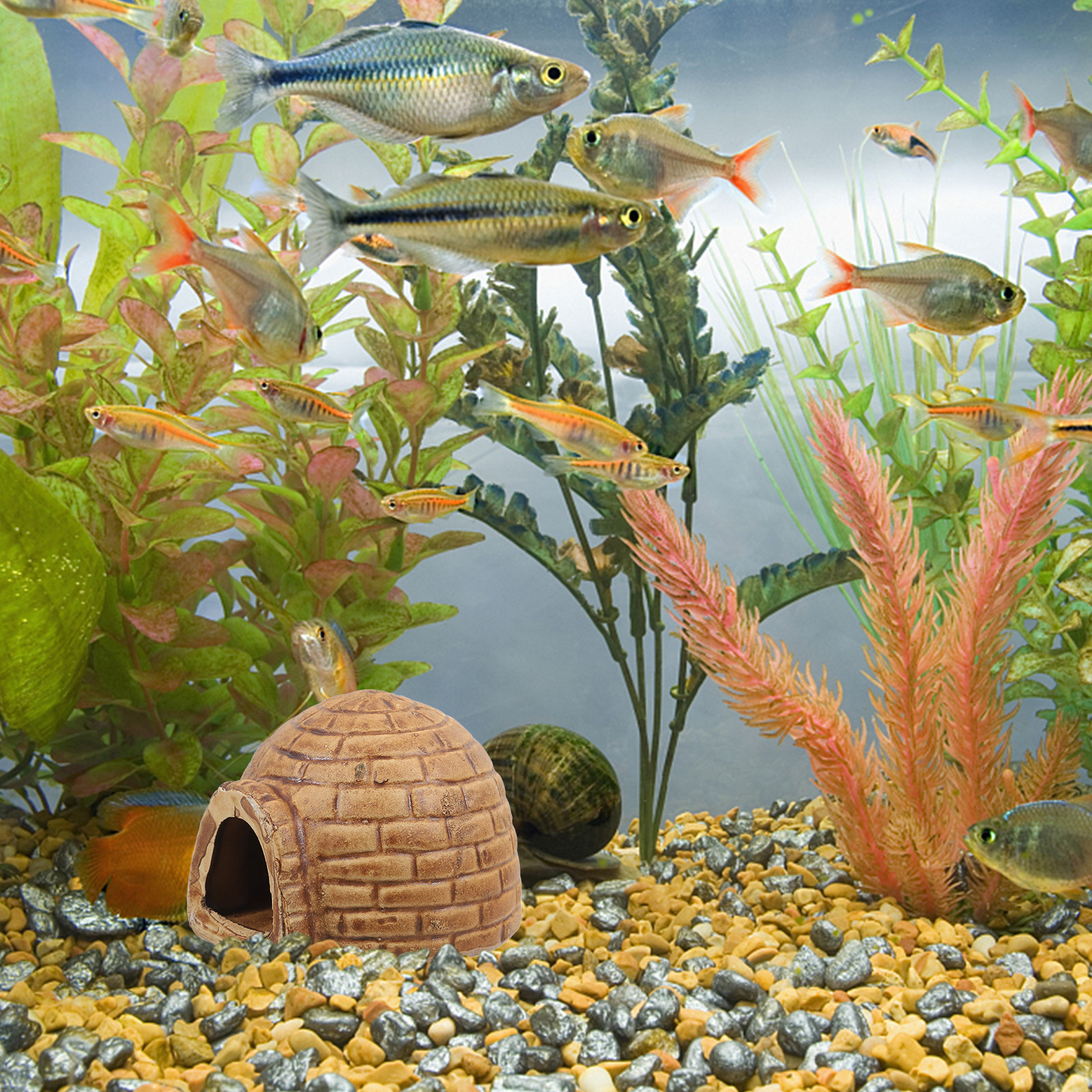 Ceramic Pleco Caves for Aquari - Hide Cave Ceramic recension och pris