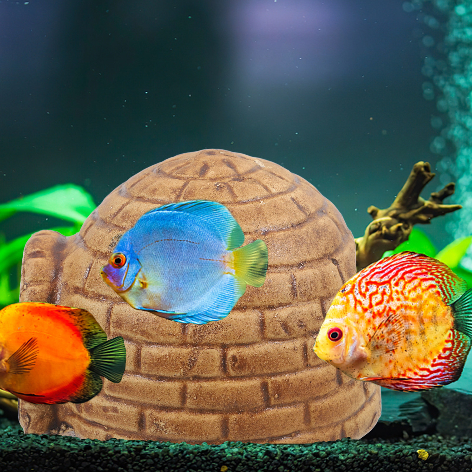 Ceramic Pleco Caves for Aquari - Hide Cave Ceramic recension och pris