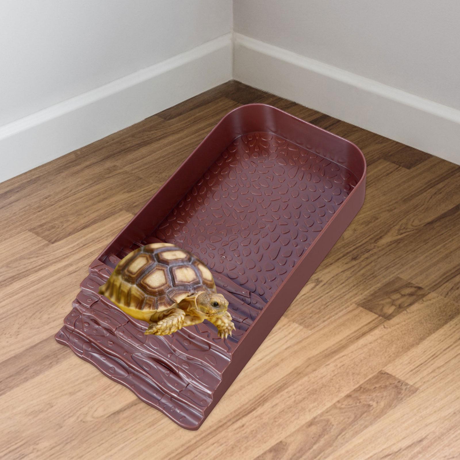 Reptile Water Bowl Accessories - Water Dish Reptile recension och pris