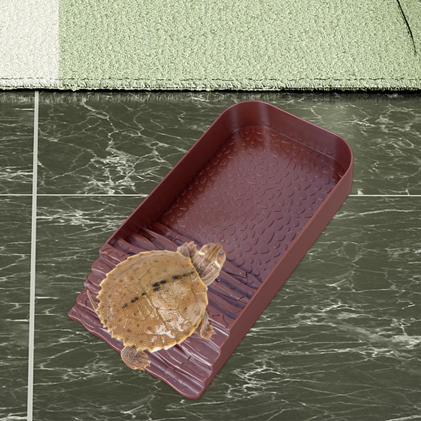 Reptile Water Bowl Accessories - Water Dish Reptile recension och pris