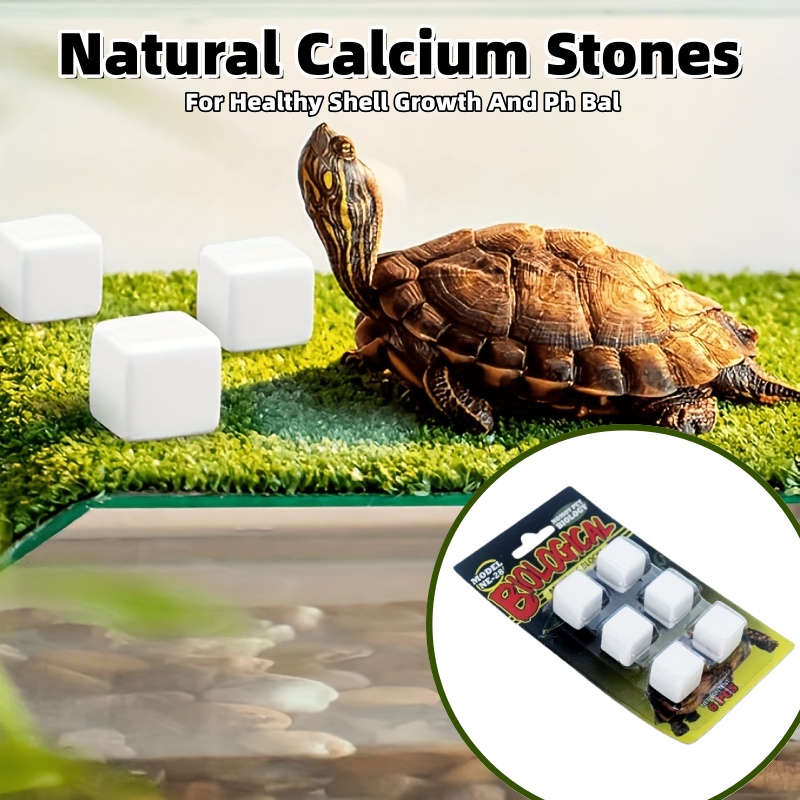 6 Pcs Fish Tank Calcium Block  - Calcium Powder Reptile recension och pris