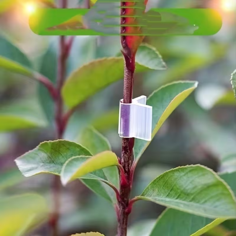 50pcs Agriculture Grafting Cli - Vine Climbing Plastic recension och pris