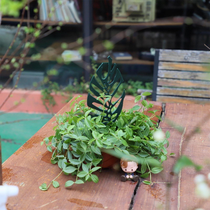Plant Climbing Support Stand F - Vine Climbing Plastic recension och pris