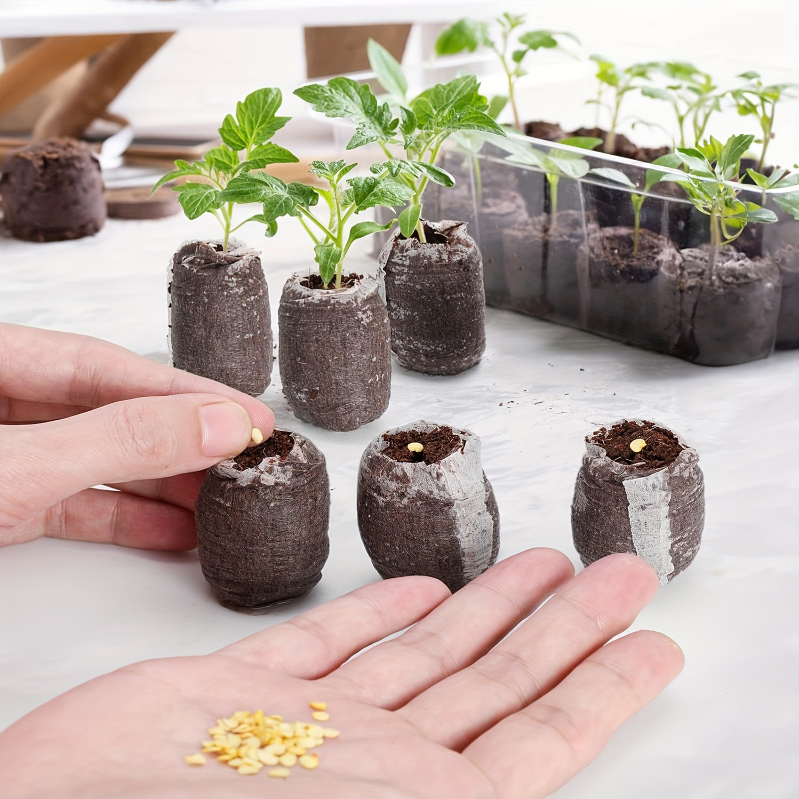 10/20/50pcs Plant Growth Bags  - Substrate Coconut Fiber recension och pris
